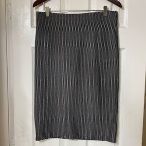 NWOT woman’s LOFT skirt